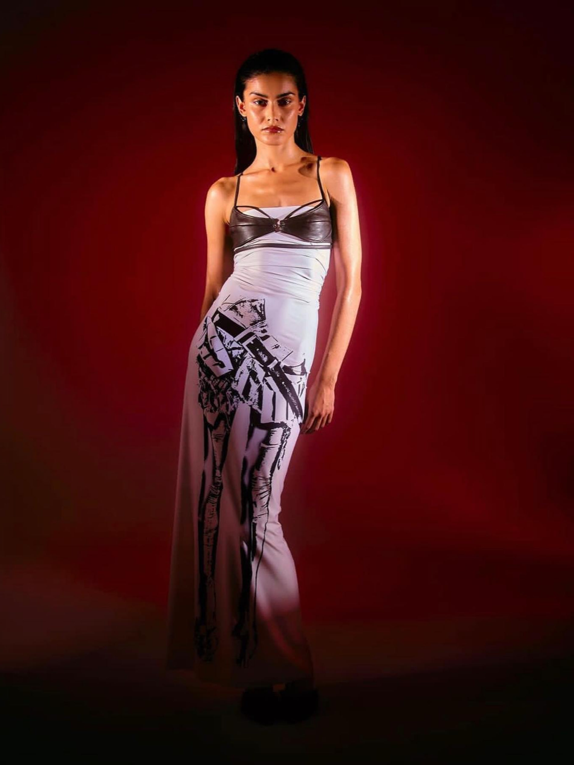 Twirl skirt printed dress